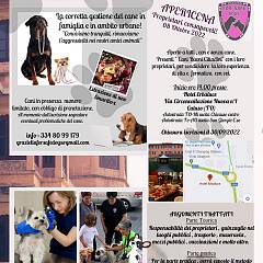 Apericena proprietario consapevole