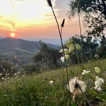 Trekking sui colli del montalbano
