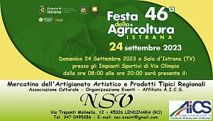 Mercatino della 46^ festa della agricoltura