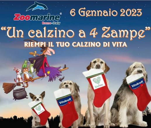 Arriva “un calzino a 4 zampe