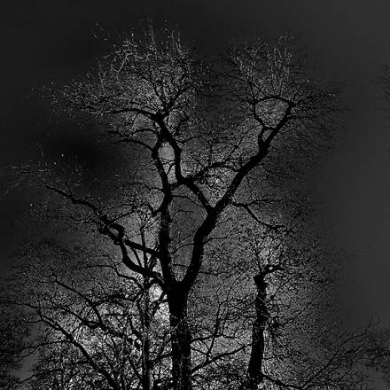 In occasione di fotografia europea 2024 anna caterina masotti presenta la mostra fotografica a single moment: l'immortalità dell'attimo nella natura e nell’umanità