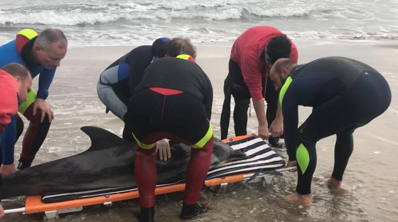 La squadra nautica fluviale della polizia di stato pronta per partecipare al primo corso di primo soccorso per delfini spiaggiati o a rischio spiaggiamento, promosso da zoomarine trust onlus con il patrocinio di anmvi e in collaborazione con sivae