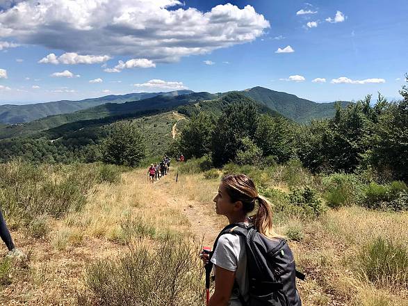 Artimino: escursione tra etruschi e medici