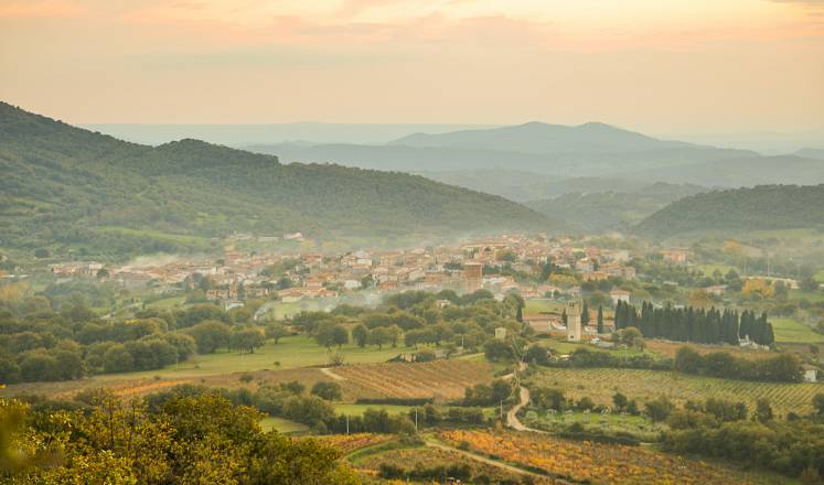 Autunno in barbagia, dal vino alla pittura ad atzara
