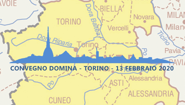 Il lavoro domestico in piemonte