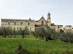 Escursione con visita guidata alla certosa di firenze