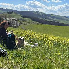 Montefiridolfi e le colline di mercatale