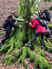 Family trek: la misteriosa quercia delle streghe