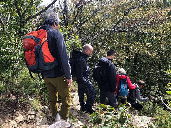 Lucciolata a monte morello
