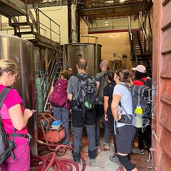 Tour pomeridiano sul montalbano