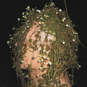 Diversity contemporary ii