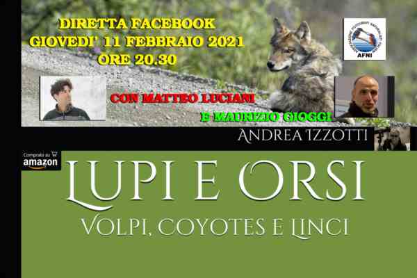 lupi e orsi, volpi, coyotes e linci di andrea izzotti - uomini e lupi a confronto con matteo luciani e maurizio gioggi di afni