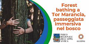 Forest-bathing a tor marancia, passeggiata immersiva nel bosco