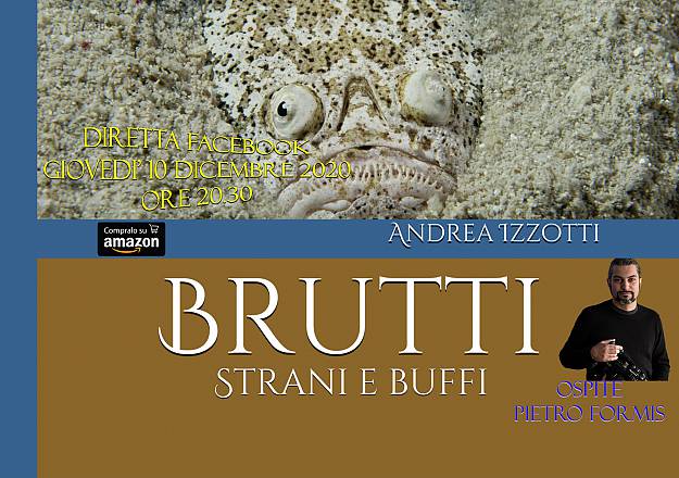 Brutti, strani e buffi - incredibili animali marini