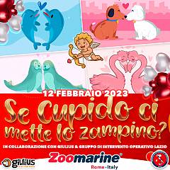 Parte la campagna solidale se cupido ci mette lo zampino?