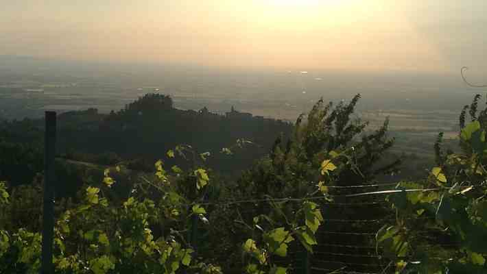 Belvedere di stelle