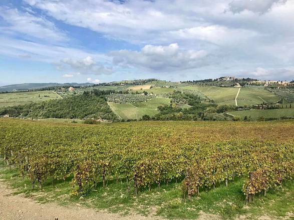Panzano, la conca d'oro del chianti
