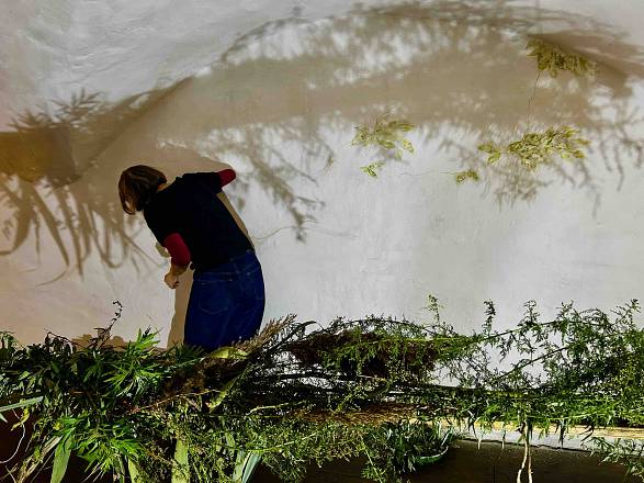 La sponda di fernanda rege
