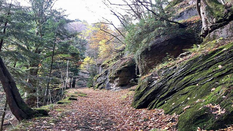 Trekking all’eremo di trebbana
