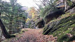 Trekking all'eremo di trebbana