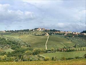 Panzano, la conca d'oro del chianti