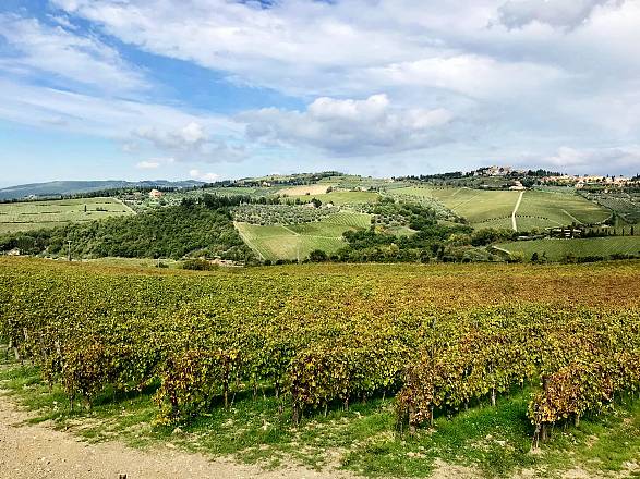 Panzano la conca d'oro del chianti