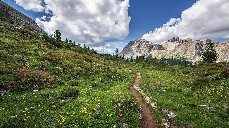 Dolomiti di brenta e val di sole una settimana di trekking con guida autorizzata in accompagnamento