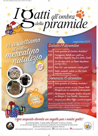 I gatti all'ombra della piramide