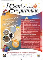 I gatti all'ombra della piramide
