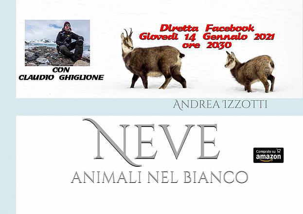 Neve, animali nel bianco - con la guida polare claudio ghiglione