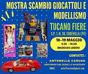 Mostra scambio giocattoli e modellismo