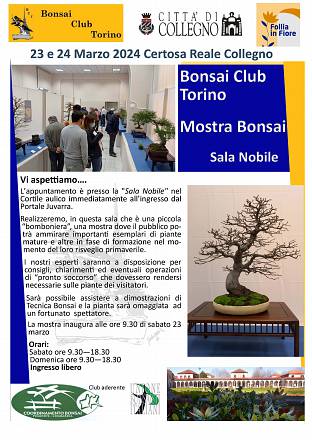 Mostra bonsai
