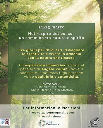 Workshop di forest bathing con treevoluzione