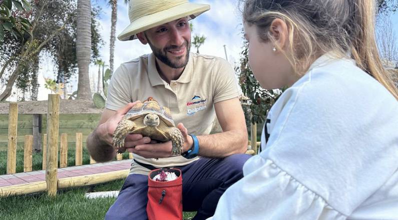 Salvare dall’estinzione la più piccola specie di testuggine ed inaugurare la più grande area d’europa dedicata a quelle africane. il 14 aprile giornata speciale a zoomarine in collaborazione con turtle island e il cites della guardia di finanza gruppo fiu