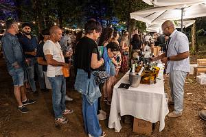 Boscodivino 2025. incanto della natura, eccellenze made in italy, esperienze pet - friendl