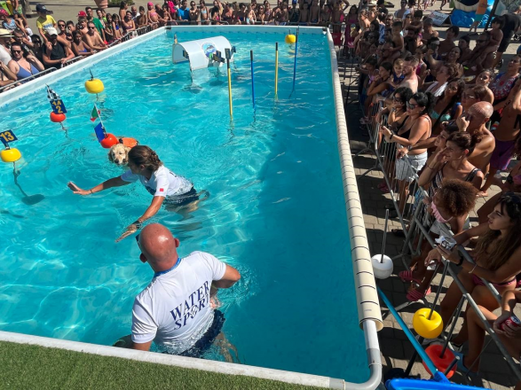 Sport a 2 e 4 zampe. a zoomarine torna l'evento splash dog e una campagna per la sicurezza in acqua per i più piccoli.