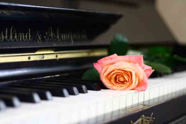 Recital per pianoforte di gaia de lorenzi - palazzo cavagnis - venezia - ore 18:00