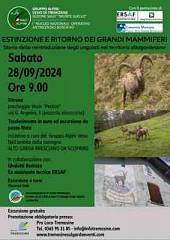 Estinzione e ritorno dei grandi mammiferi