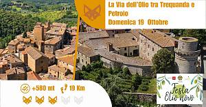La via dell'olio tra trequanda e petroio
