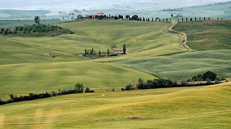 Castagneto carducci e l'antica via campigliese