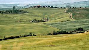 Castagneto carducci e l'antica via campigliese
