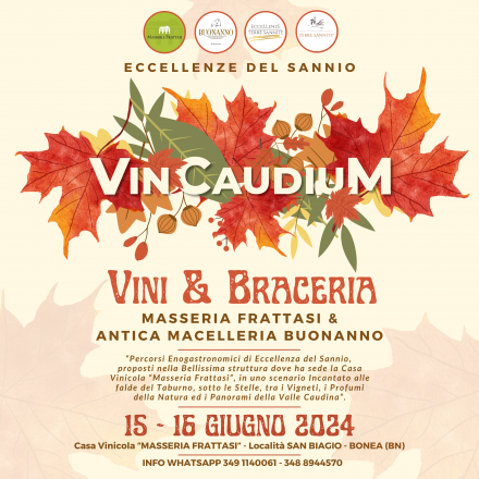 Vincaudium