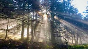 Trekking al passo della calla