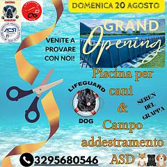 Inaugurazione piscina per cani asd