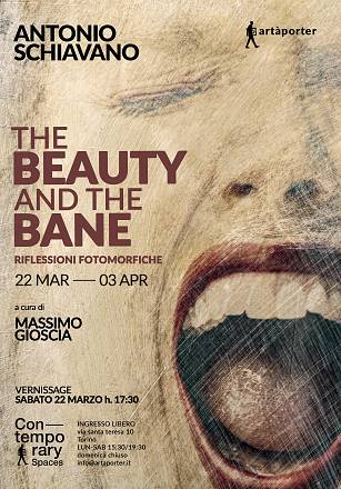 Mostra fotografica the beauty and the bane di antonio schiavano