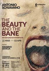 Mostra fotografica the beauty and the bane di antonio schiavano