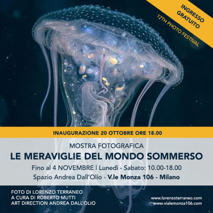 Mostra fotografica le meraviglie del mondo sommerso