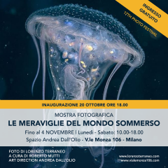 Mostra fotografica le meraviglie del mondo sommerso