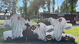 Smaschera la tua paura. a zoomarine con la partecipazione dell'ordine dei medici chirurghi