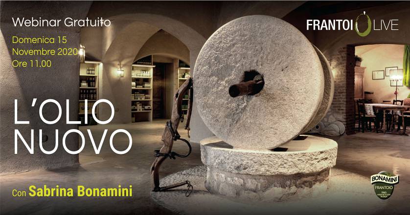 Frantoiolive di frantoio bonamini: alla scoperta dell’olio novello